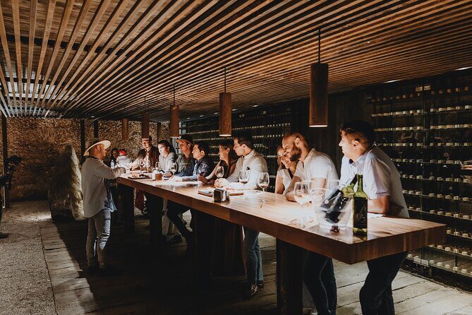 Private Tasting with Pairing in a Cava in Aguascalientes - Tierra Tinta Private Tasting: What Happens in About an Hour