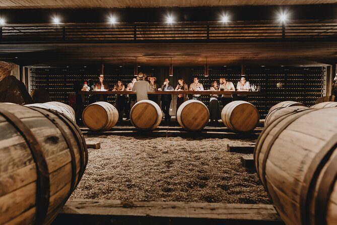 Private Tasting with Pairing in a Cava in Aguascalientes - Arriving at Viñedos Tierra Tinta: Grounds, Deck, and Quick Orientation