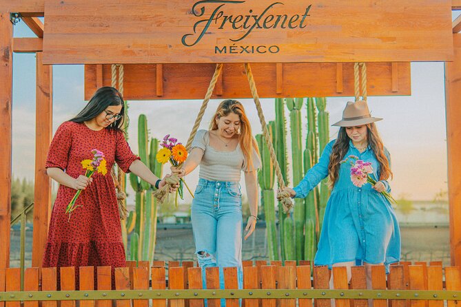 Private tour Freixenet Winery & Peña de Bernal - Freixenet Mexico: what it’s like 25 meters down