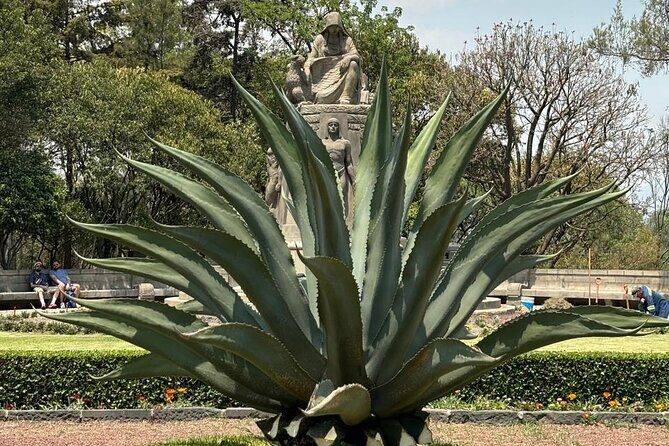 Private Tour in the Historic Center of CDMX and Chapultepec - What to pack for a long historic day