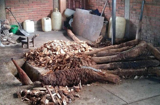 Private tour Mitla, Weavers town, Mezcal and Boil the water - Tips to make each stop feel smooth (not rushed)