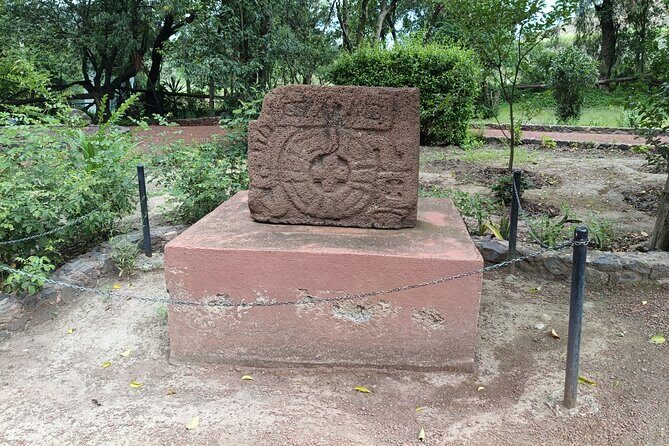 Private Tour, Teotihuacan, Basilica of Guadalupe. - Teotihuacán Pyramids: Your Certified Guide and Photo Time
