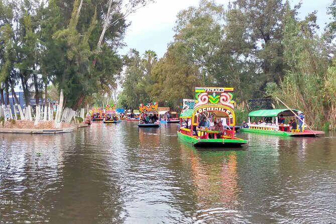 Private Tour to Coyoacán & Xochimilco. - Who this tour suits best in Mexico City