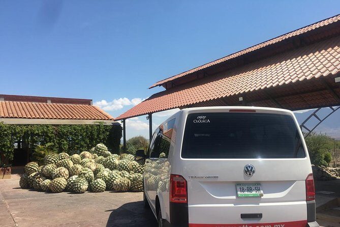 Private Tour to Hierve el Agua, Mezcal Tasting, and Textiles - Who should book this private tour—and who might want a different day