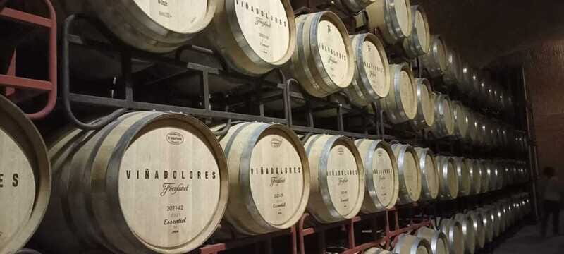 Private tour to Peña de Bernal & Freixenet Winery from CDMX - Key highlights you’ll feel right away