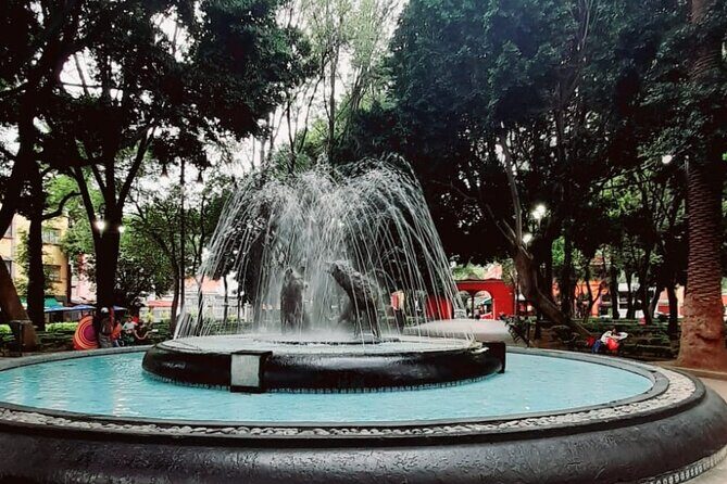 Private Tour to Xochimilco, Coyoacan and the World of Frida Kahlo - Timing and Pace: What to Expect From a 9:00am Start