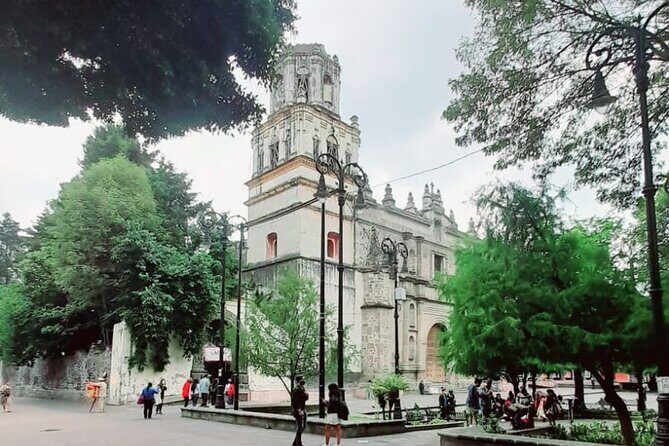Private Tour to Xochimilco, Coyoacan and the World of Frida Kahlo - Guide Energy Matters: How to Get the Best Version of This Day