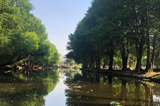 Private Tour: Xochimilco, Coyoacan and Frida Kahlo Museum. - Coyoacán: history, crafts, and market-style wandering