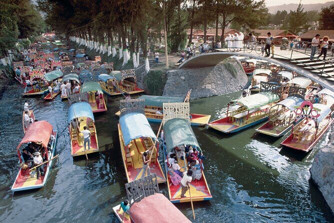 Private Tour: Xochimilco Coyoacan and Frida Kahlo's Museum and house - UNAM Central Library: a smart start before the main action