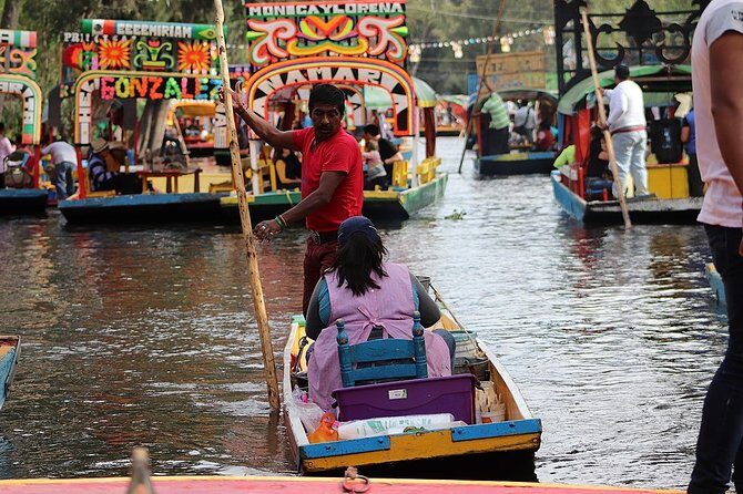 Private Tour: Xochimilco Coyoacan and Frida Kahlo's Museum and house - Health and comfort rules you should know