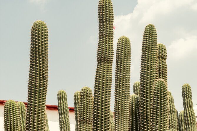 Private Transfer from San Miguel de Allende to Mexico City - What’s included (and what you’ll pay for separately)
