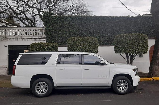 Private Transfer from the Airport to Hotels in Mexico City - Who should book this airport-to-hotel transfer
