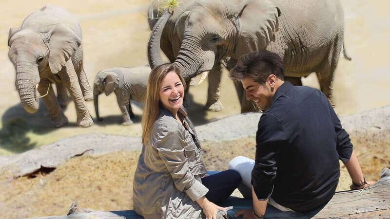 Puebla Africam Safari Park, Live an Unforgettable Adventure! - The themed habitats you’ll see: Okavango to Huasteca