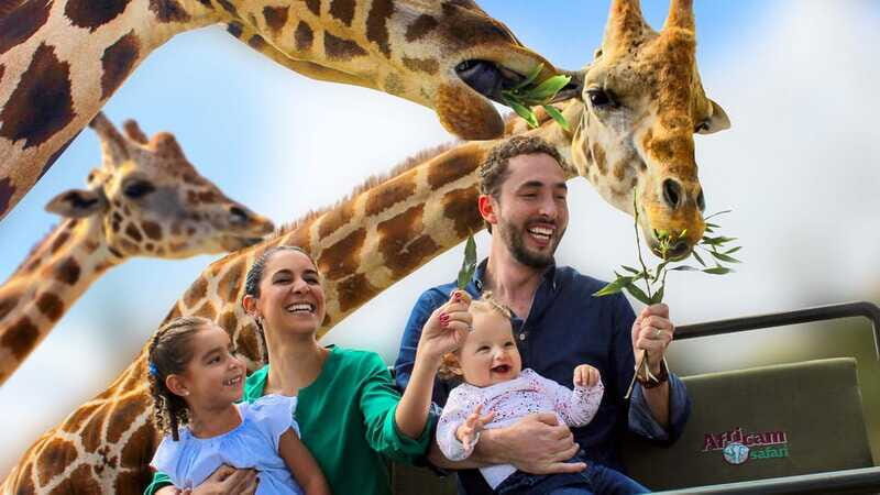 Puebla Africam Safari Park, Live an Unforgettable Adventure! - Safari ride reality check: coach seating and sightlines