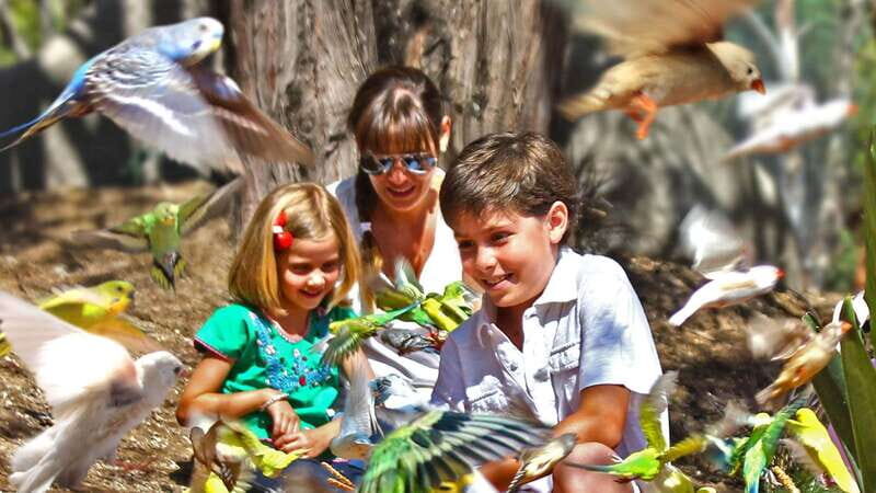 Puebla Africam Safari Park, Live an Unforgettable Adventure! - Getting the most out of the 4 hours inside the park