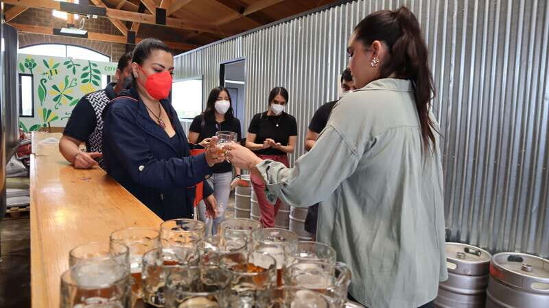 Puebla: Cholula Craft Beer Tour by Tram - Who This Tram Beer Tour Is Best For (and Who Should Skip It)