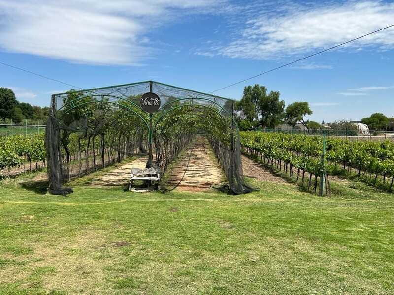 Querétaro: Cheese & Wine Tour In A Day - Transportation, Timing, and Why the Pace Works