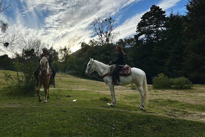 Ride Horses, Learn to Cook with Locals in Mexico City - Ingredient stops that turn the cooking class into a journey