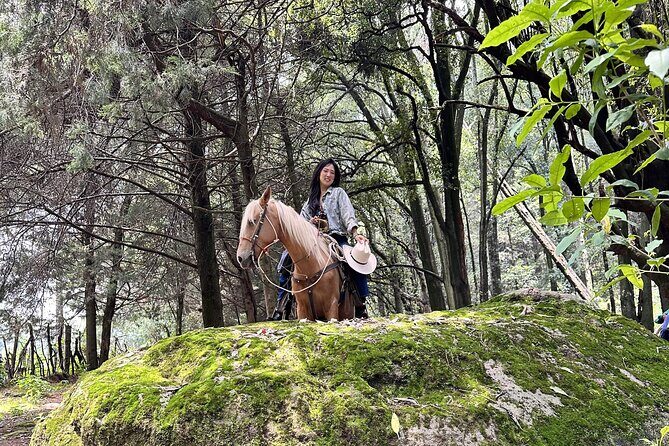 Ride Horses, Learn to Cook with Locals in Mexico City - What’s included, what’s not, and how to plan your stomach