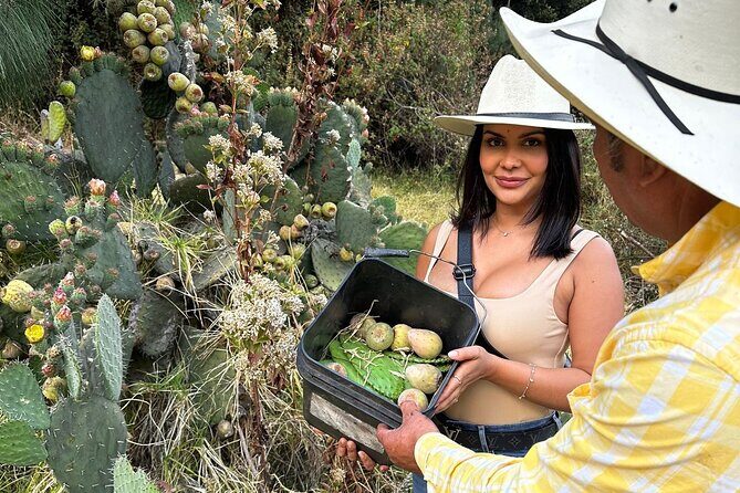 Ride Horses, Learn to Cook with Locals in Mexico City - Who this tour suits (and who should think twice)