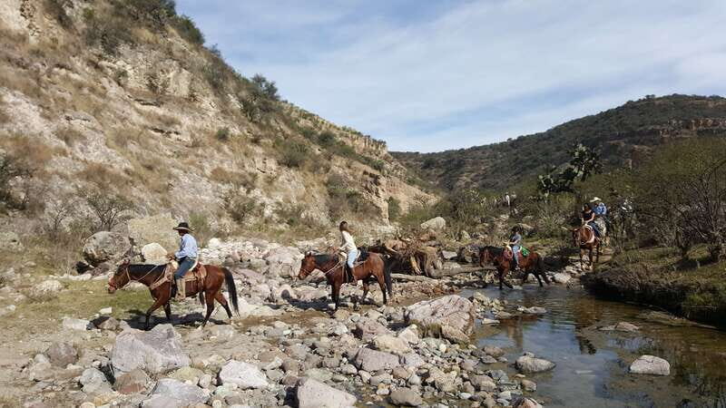 San Miguel Allende: Half-Day Horseback Riding Adventure - Getting There: Pickup, Timing, and the 5-Hour Plan