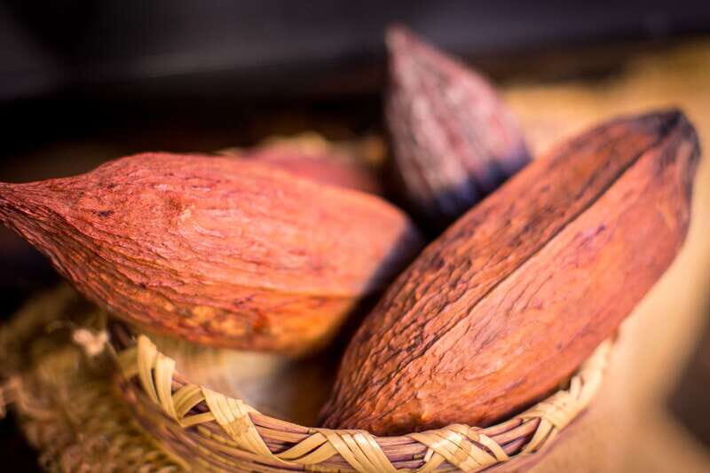 San Miguel de Allende: Chocolate Tasting and Walking Tour - Why San Miguel de Allende and chocolate click