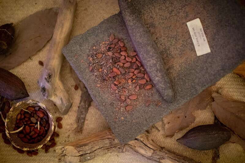 San Miguel de Allende: Chocolate Tasting and Walking Tour - Chocolate history explained through real flavor, not lectures
