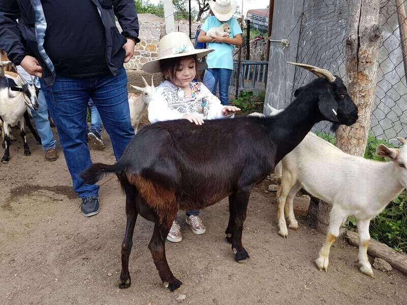 San Miguel de Allende: Full-Day Ranch Adventure - The campfire cowboy meal: food cooked on the trail