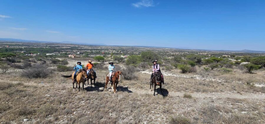 San Miguel de Allende: Horseback Riding Tour - The Countryside Loop: Mesquite, Cacti, Corn Fields, and a Seasonal River