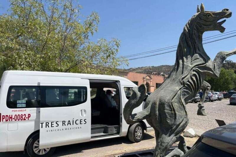 San Miguel de Allende: Local Vineyard Tour & Wine Tasting - Key things I’d focus on before you go