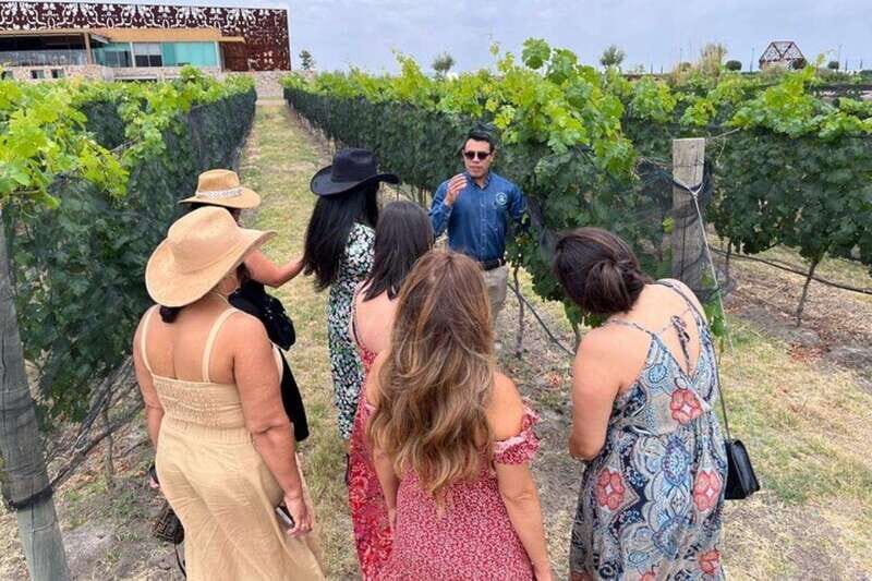 San Miguel de Allende: Local Vineyard Tour & Wine Tasting - From Fábrica La Aurora to Valle de La Independencia: the logistics that matter