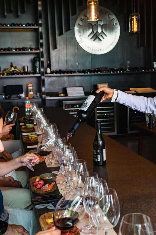 San Miguel de Allende: Local Vineyard Tour & Wine Tasting - Should you book San Miguel de Allende Local Vineyard Tour and Wine Tasting?