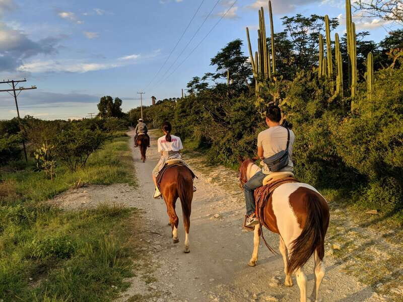 San Miguel: Romantic Horseback Riding at Sunset - Getting to the stables: simple logistics, easy start point