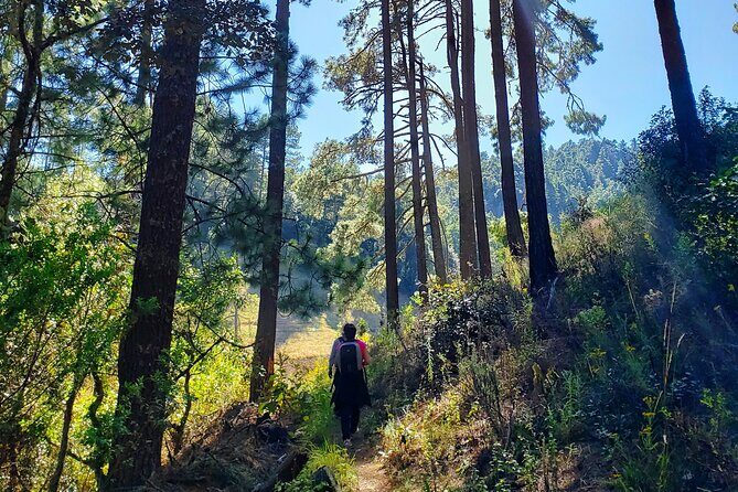 Sierra Norte Hike and Indigenous Village Full-Day Adventure - Meeting in Jalatlaco and why the day starts in the right place