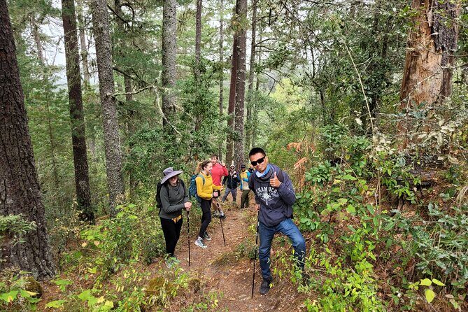 Sierra Norte Hike and Indigenous Village Full-Day Adventure - Starting the hike at Cuajimoloyas: moderate means steady, not casual