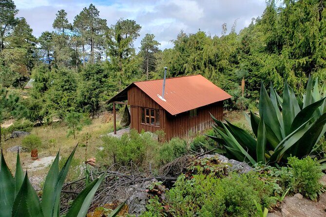 Sierra Norte Hike and Indigenous Village Full-Day Adventure - The suspension bridge: the 100+ meter payoff (and the extra cost)