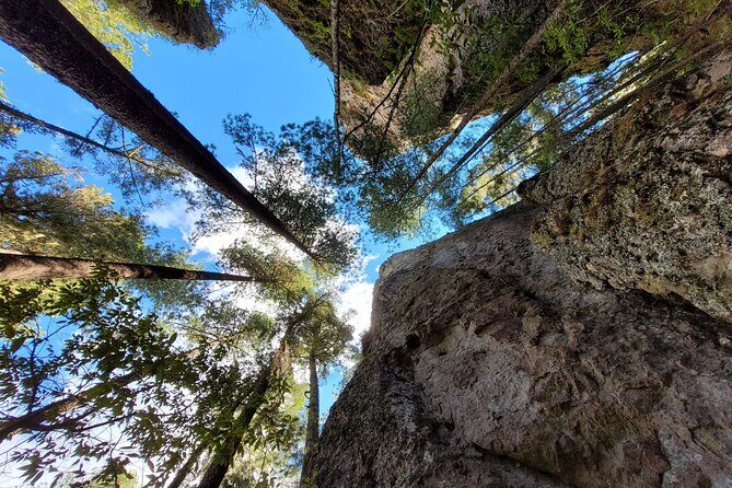Sierra Norte Hike and Indigenous Village Full-Day Adventure - Lunch in Cuajimoloyas: homemade mountain cuisine and a real community feel
