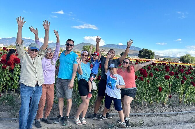 Small Group Boerve del Agua and Mezcal Tour from Oaxaca Centro - Oaxaca Centro to Hierve: how this 7–8 hour plan holds together