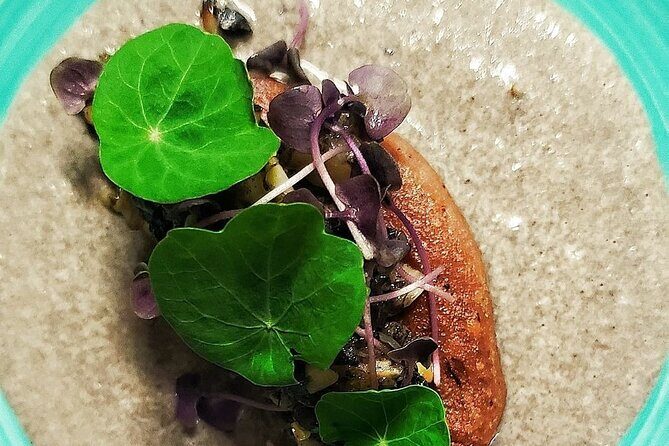 State-of-the-art Mexican cooking classes - Key things you’ll notice right away