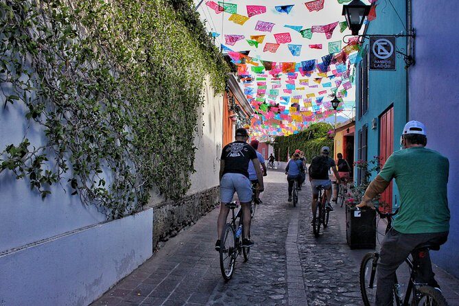 Street Art Bike Ride - Is it worth $83.64 for 4 hours?