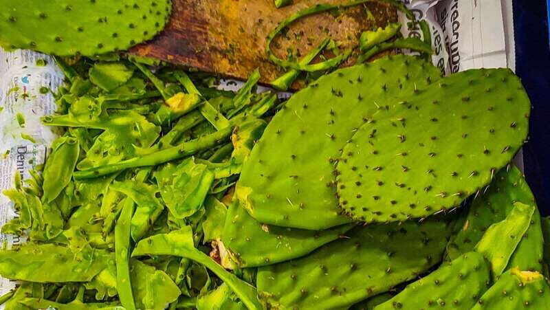 đ˘Street Food Bike Tour Mexico Cityđ˘ - The food menu: what youâre likely to taste (and why itâs a good mix)