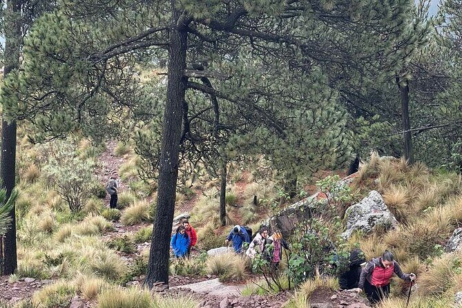 Sunrise in Las Alturas Hiking in El Pico del Aguila Tlalpan - Summit Time Before Sunrise: More Than Just a View Stop