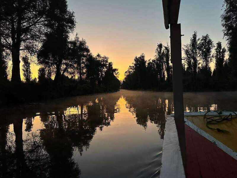 Sunrise in Xochimilco - Sunrise in Xochimilco: why this tour works