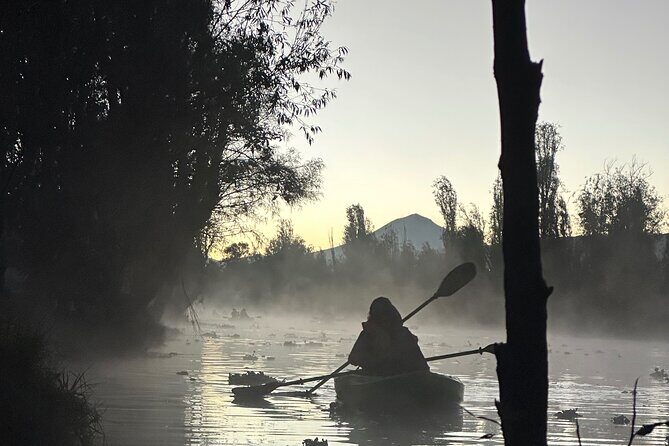 Sunrise Kayak Tour in Xochimilco - Breakfast on a Chinampa: Bonfire Warm-Up and a Real Pause