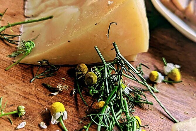 Taste of Europe in Mexico: History and Flavors of Artisan Cheese - What’s on the cheeseboard: dozen local cheeses plus San Miguel condiments
