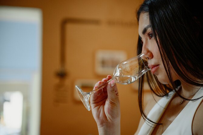 Tasting of Mezcal with the best selling brand in Oaxaca - Key Highlights You’ll Care About