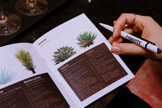 Tasting of Mezcal with the best selling brand in Oaxaca - Your One-Hour Rhythm: What to Expect From Start to Finish