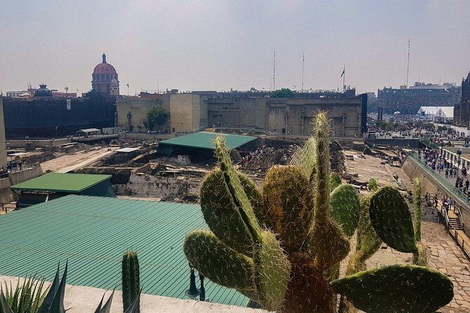 Templo Mayor Museum Semi Private Walking Tour in Mexico City Downtown - Templo Mayor Museum: Why This Place Feels Important