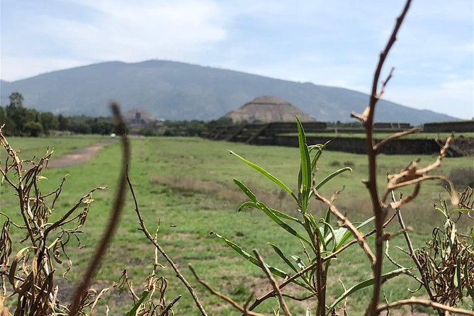 Teotihuacan & Basilica of Guadalupe - Private Tour - Stop 3: Basilica de Santa Maria de Guadalupe and Its 20 Million-Visitor Pull