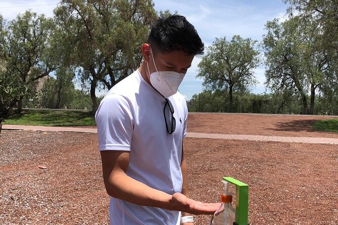 Teotihuacan & Basilica of Guadalupe - Private Tour - Cochinita Pibil Tasting: The Included Food That Makes It Feel Like Local Travel